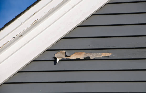 Affordable siding repair and maintenance services in Galena, IL